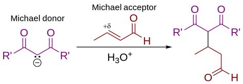 Michael addition reaction - Wikiwand