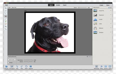 Adobe Photoshop Elements Tutorial, PNG, 1581x1021px, Adobe Photoshop ...