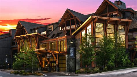 9 BEST Pet Friendly Hotels in Canmore, Alberta (2024)