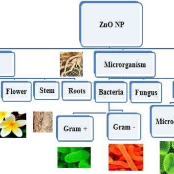 Zinc oxide nanoparticle synthesis by using different sources [16 ...