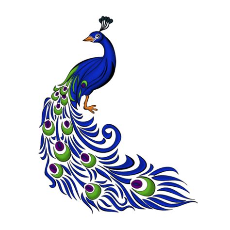 Peacock PNG Transparent Images - PNG All