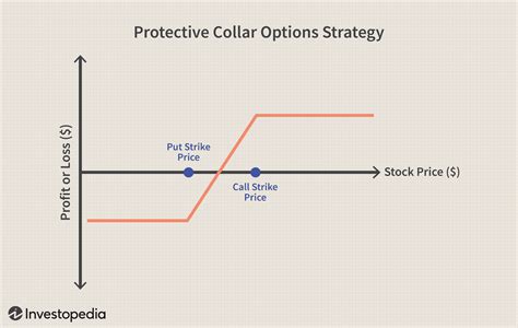 How a Protective Collar Works