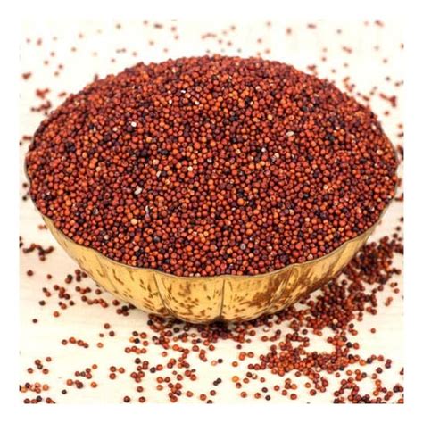 Finger millet(Ragi Seed)-500gm – Selvi Store