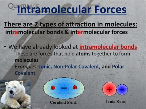 PPT - Intramolecular Forces vs Intermolecular Forces PowerPoint ...