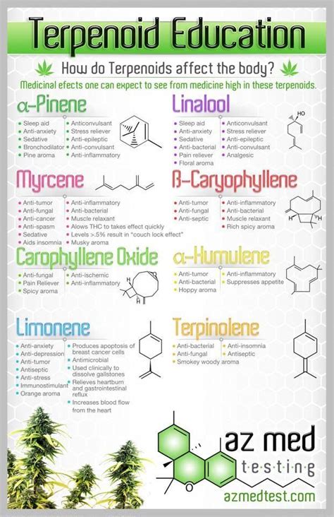 Cannabis Decarboxylation Chart - Step 1: Tools + Materials