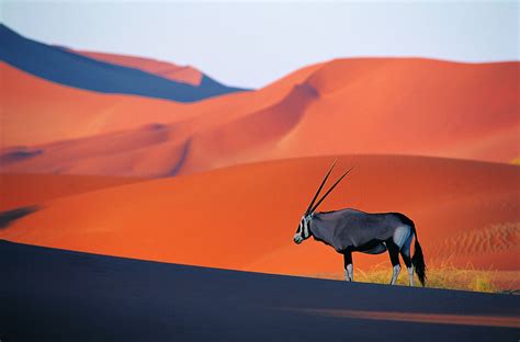 Namibia Travel Guide: Essential Facts and Information