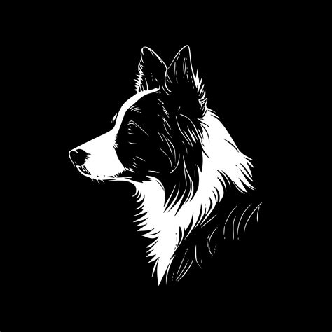 Border Collie - High Quality Vector Logo - Vector illustration ideal ...