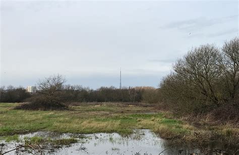 The Croydonist explore South Norwood Country Park