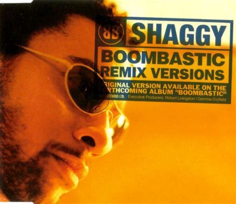 Shaggy - Boombastic (Remix Versions) (CD) at Discogs