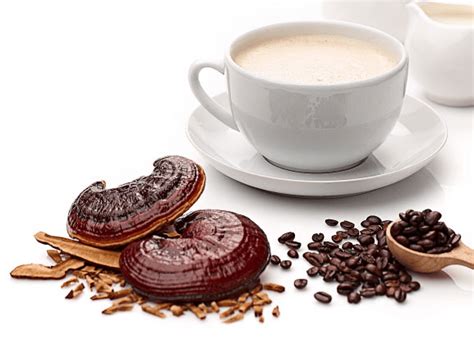 Mushroom Coffee Ganoderma Health Benefits - Coffee Lovers