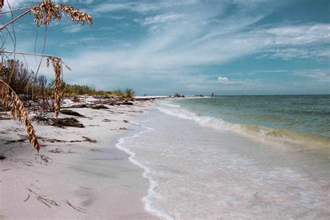 Honeymoon Island State Park, Florida: Complete Guide + Insider Tips - Paula Pins The Planet