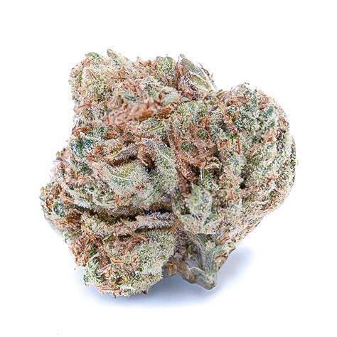 Dream Queen Strain | Cannabis Dispensary | Theory Wellness