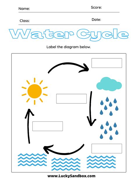 Water Cycle Worksheet - Etsy - Worksheets Library