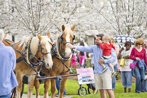 7 Top Georgia Springtime Festivals for Kids | Official Georgia Tourism & Travel Website ...