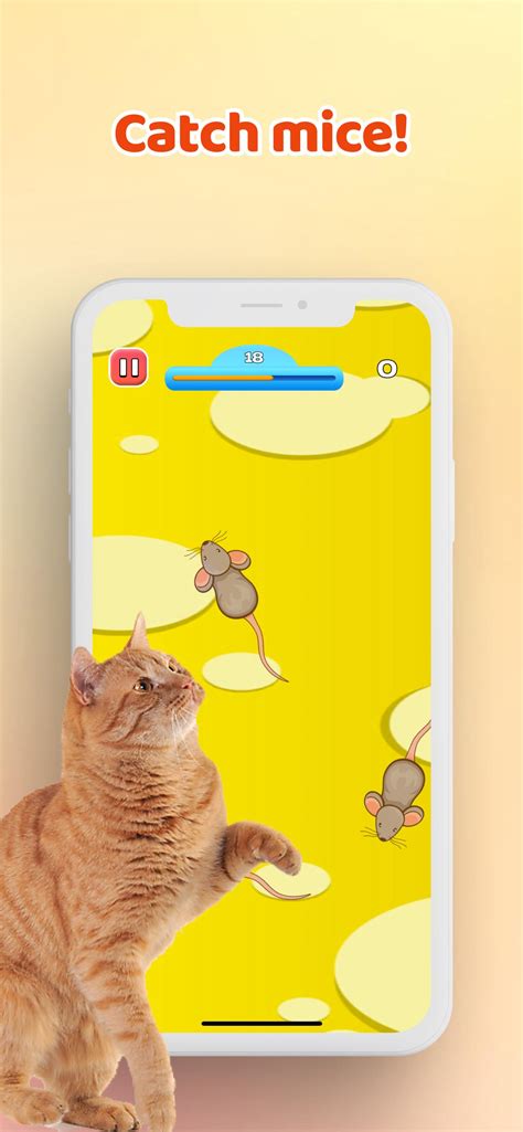 Games for Cat－Toy Mouse & Fish APK for Android Download