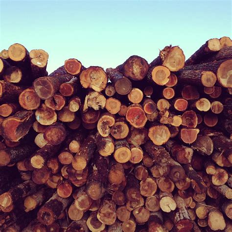 Log Pile Photograph by Kevin Russ - Fine Art America