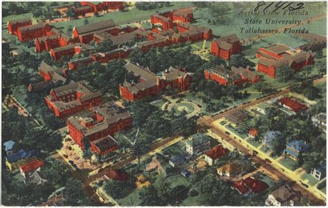 Aerial view, Florida State University, Tallahassee, Florida - Digital ...