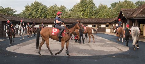 Newmarket's British Racing School receives 'excellent' rating from ...