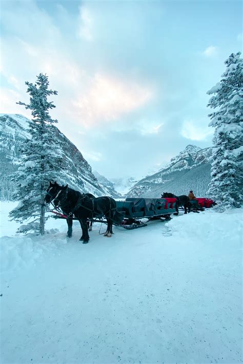 Top 10 Winter Activities in Banff National Park | Banff national park, National parks, Winter ...