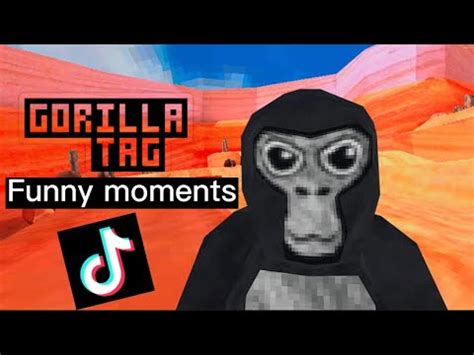 Gorilla tag funny moments -TikTok- - YouTube