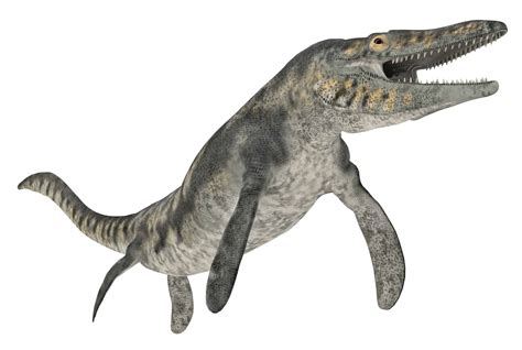 Mosasaurus - A-Z Animals