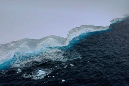 ‘Incredibly lucky’: Antarctic scientists examine world’s largest ...