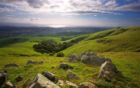 Bay Area Foothills in Spring - Dry Creek Pioneer Park - Matt Tilghman Photography