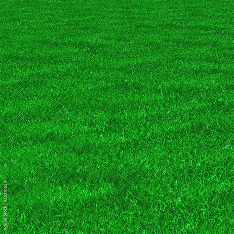 artificial grass, texture of green grass, 3d rendering, trugreen, processed with lawn mower and ...