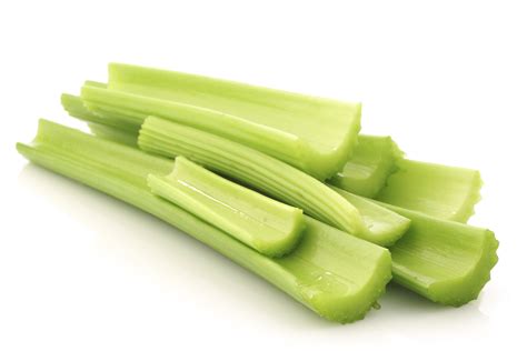 Best of 2015: CELERY | www.mnftiu.cc