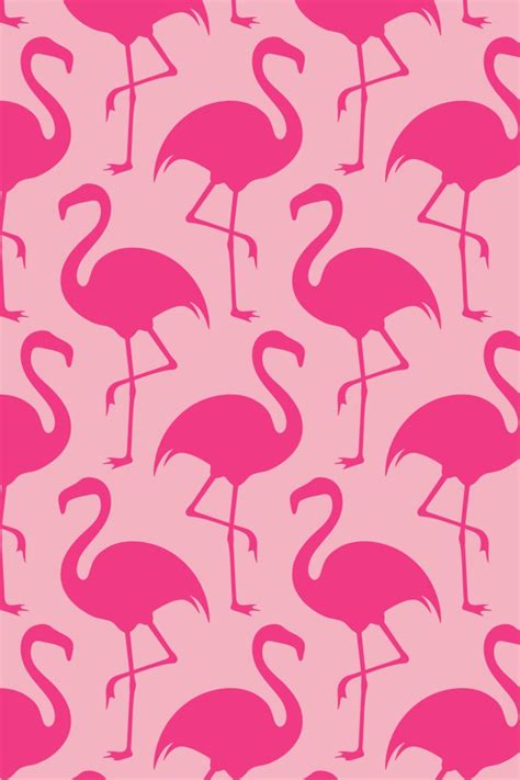 🔥 [60+] Pink Flamingo Wallpapers | WallpaperSafari