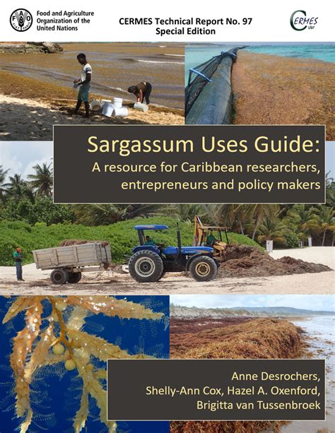 Sargassum Uses Guide now available - SARGASSUM INFORMATION HUB