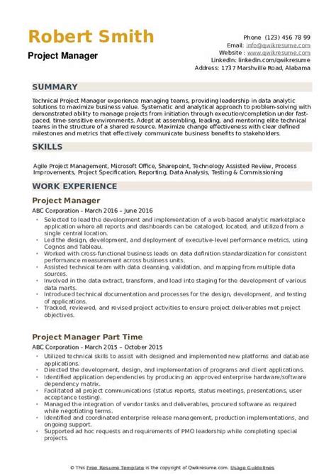 Project Manager Resume Summary