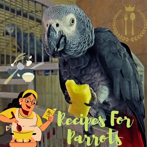 Recipes for parrots - Parakeet recipes | Parrot Diet and food