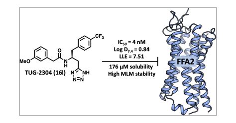 Discovery of Potent Tetrazole Free Fatty Acid Receptor 2 Antagonists | Journal of Medicinal ...