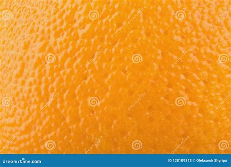 Orange fruit peel close up stock image. Image of closeup - 128109813