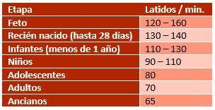 Procedimiento para controlar el pulso - Signos vitales | Primeros ...