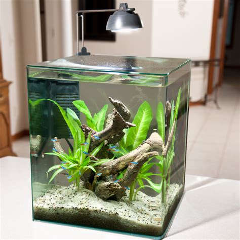 Best 5 Gallon Fish Tank And Aquarium Kit For Sale Now (Reviews 2023)