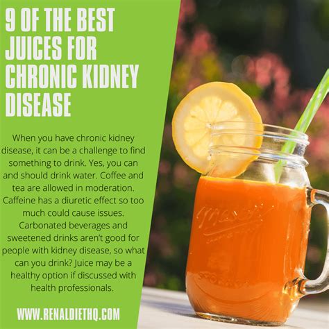 Best Juice Recipes For Kidney Disease | Dandk Organizer