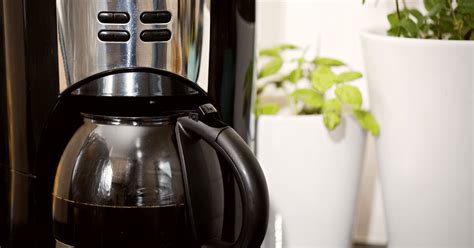 Best Plumbed Coffee Maker (7 Water Line Machines Reviewed)