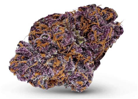 Buckeye Purple Strain | Cannabis Dispensary | Theory Wellness