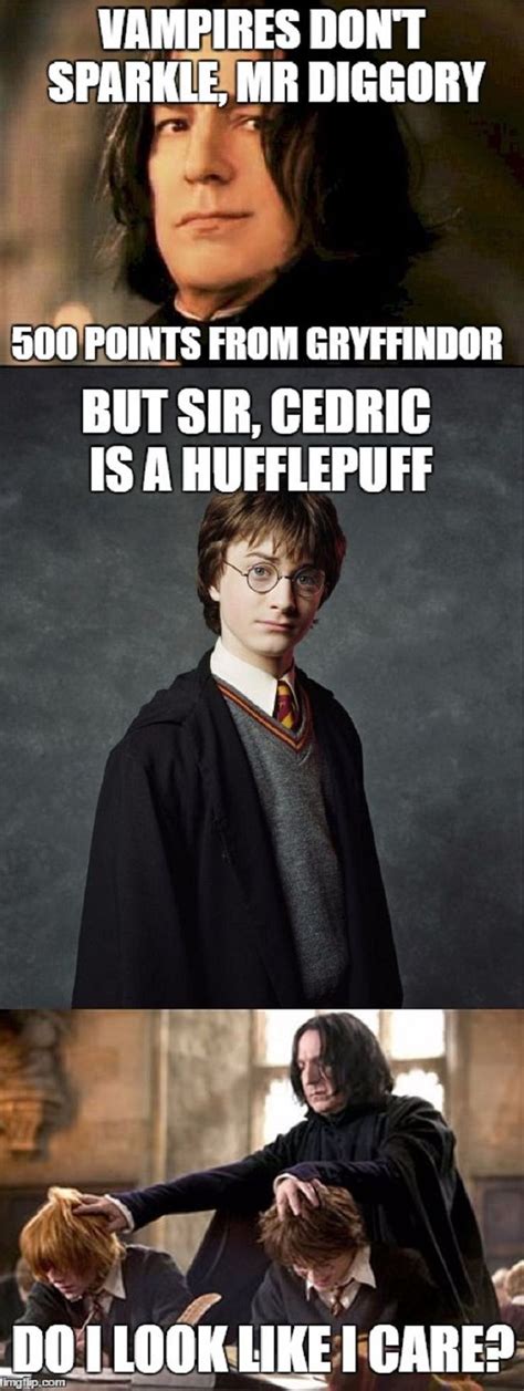 Harry Potter: 10 Hilarious Gryffindor Memes That Are Too Funny | Harry ...