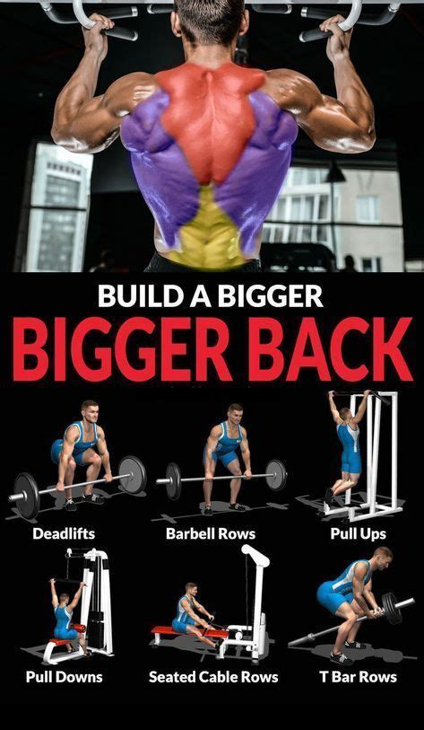 big back workout for mass > OFF-65%