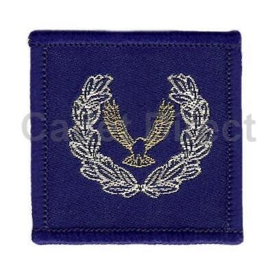 Master Cadet Badges - Sales and Wants - Air Cadet Central