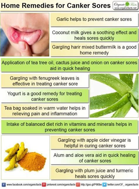 Home Remedies for Canker Sore Home remedies for canker sore include intake of garlic, harir ...