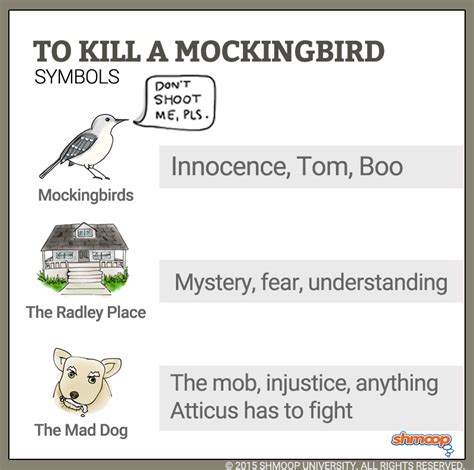 Mockingbird Meaning