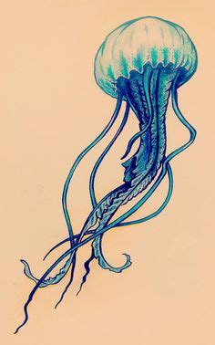 Box Jellyfish Drawing at GetDrawings | Free download