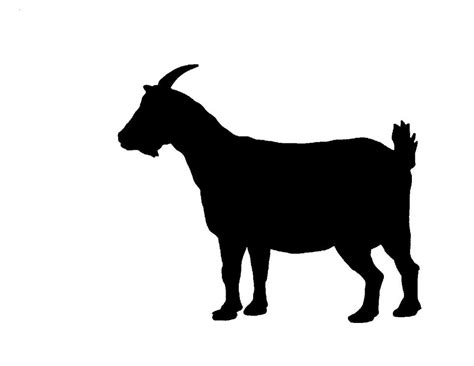 221 Svg Jumping Baby Goat Silhouette SVG PNG EPS DXF File