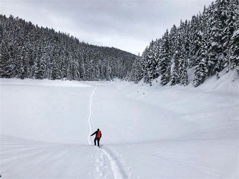 Garibaldi Lake Winter Hike - Shashi Shanbhag