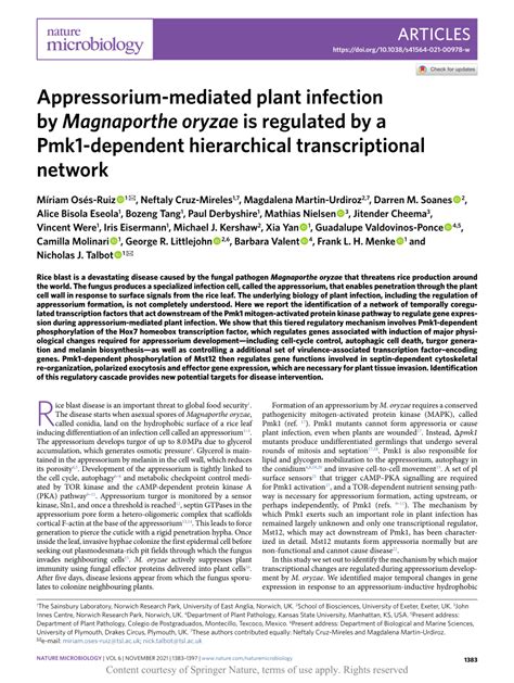 Appressorium-mediated plant infection by Magnaporthe oryzae is regulated by a Pmk1-dependent ...