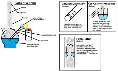 Parts of a bong [More In-Depth] : saplings